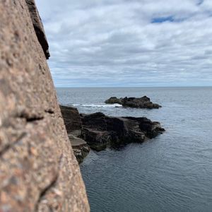 Meet your Posher, Brady